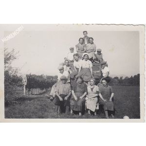 la Buisse : vendanges