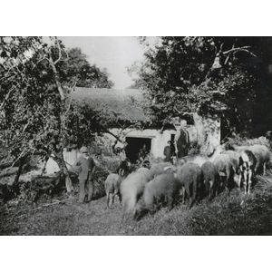 Chirens : la ferme du Replat vers 1930