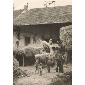 Charavines : batteuse : Joseph Deschaux