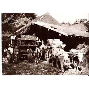 Charavines : batteuse