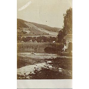 charavines : bord du lac