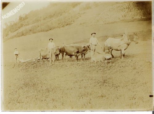 Charavines photos priv&eacute;es