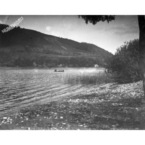 champ cultiv&eacute;