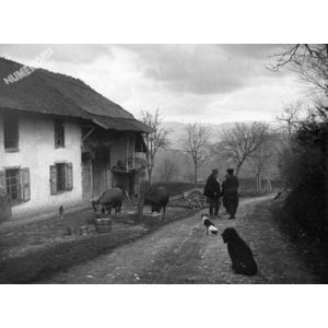 ferme