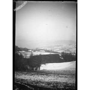 paysage de neige