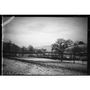 paysage de neige