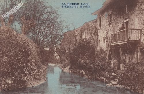 la Buisse (Is&egrave;re) l'&eacute;tang du moulin