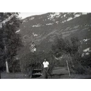 la buisse : les foins