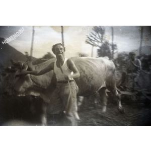 la buisse : la rateleuse