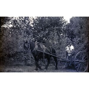 la buisse : la rateleuse