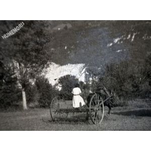 la buisse : la rateleuse