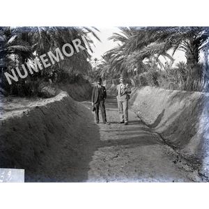 PV AfriqueNord aout ADG