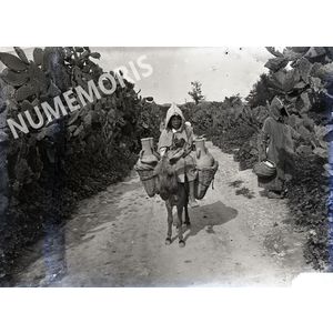 enfant sur un &acirc;ne en Afrique du Nord ADG