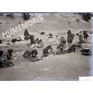 Lavandi&egrave;res en Afrique du Nord