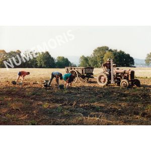 pp voissant ramassage pdterre CHV