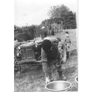 pp voissant vendanges 05 CHV