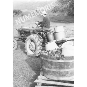 pp voissant vendanges 06 CHV