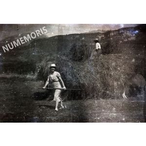 NEG buisse foins 8 BSB