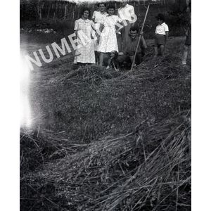 NEG buisse foins 9 BSB