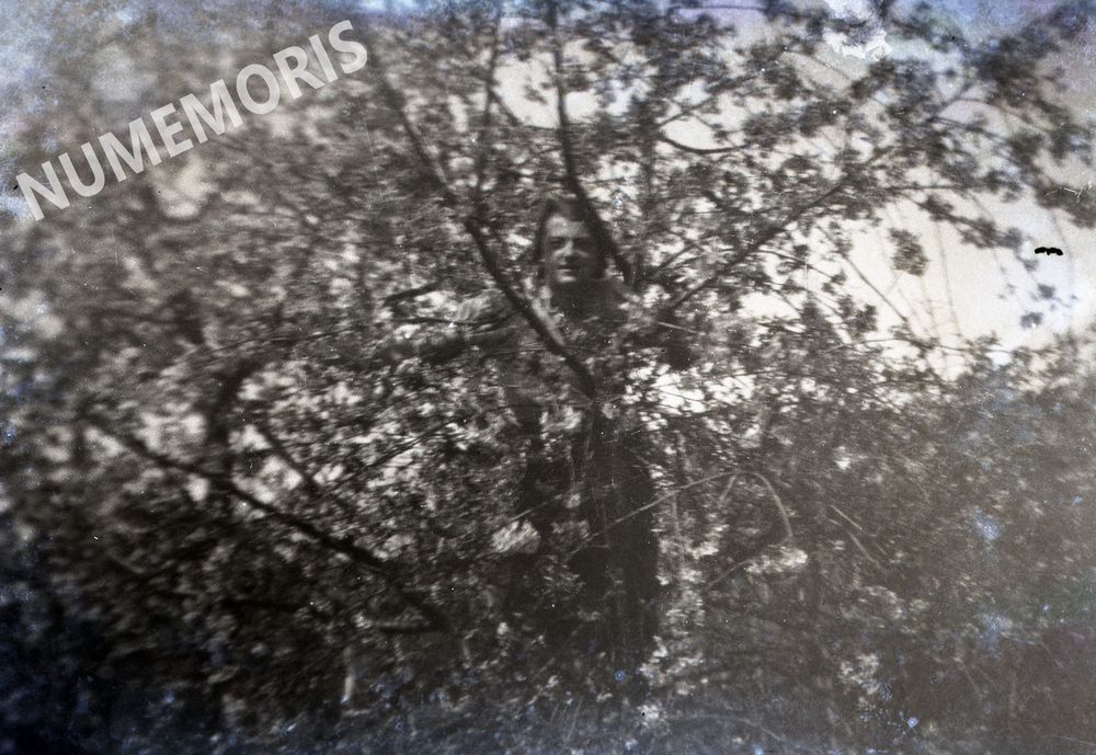La Buisse