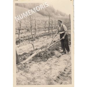 pp voissant vigne labours nd RMV