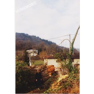PP abattage arbre 4 1992 MJLR 001