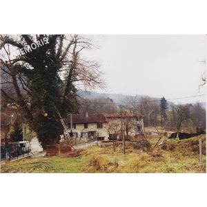 PP abattage arbre 1 1992 MJLR