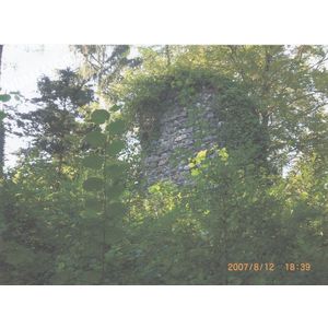 PP Voissant vieux chateau MCV