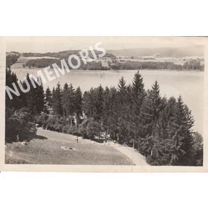 082 boisAmour 21318 cellard 1951 JMMP