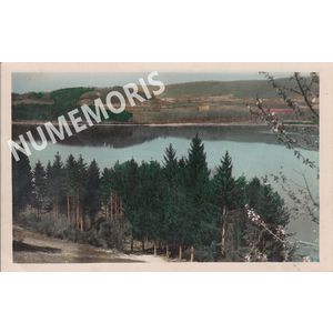 082 boisAmour 21322 cellard color JMMP