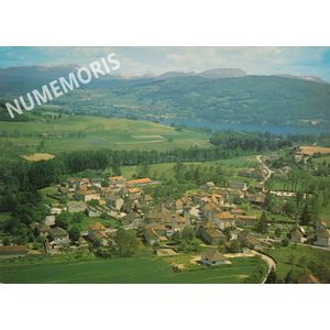 305 vuegen 21517 cellard color 1990 JMMP