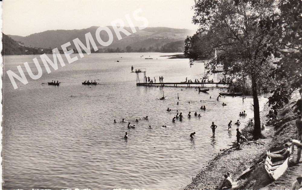 Le Pin cartes postales