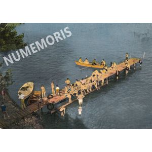 305 lac 21521 cellard color JMMP