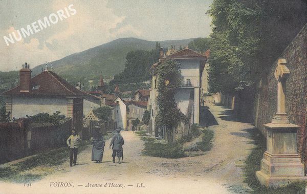 563 avHaussez 141 LL color AMM