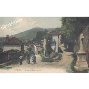 563 avHaussez 141 LL color AMM