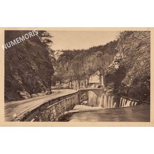 grandeChartreuse fourvoirie 4824 8 CFGC AMM