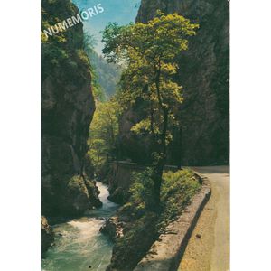 Route de la Grande Chartreuse- le D&eacute;sert- couleur-recto