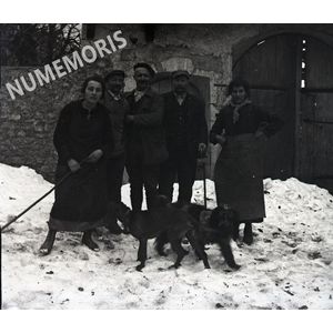 PV alocaliser hommes chiens jeunefille BVF