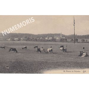 292 stPierre vaches 1910 JMMP