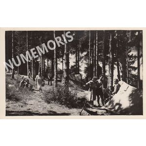 082 bois d'Amour 21345 cellard JMMP