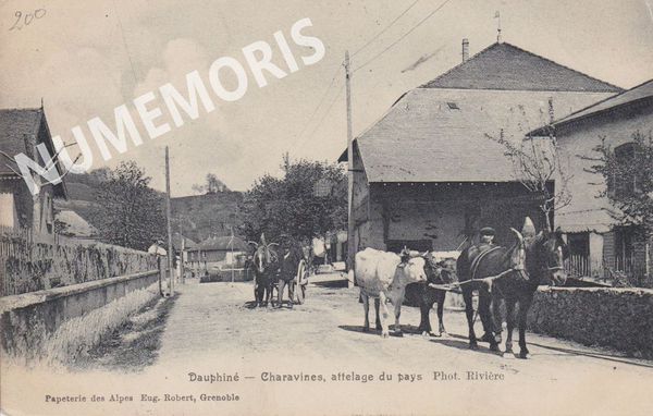 082 attelage ER riviere 1906 JMMP