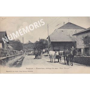 082 attelage ER riviere 1906 JMMP