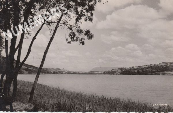 082 baie anges 38 032 17 cigoogne 1952 JMMP