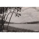 082 baie anges 38 032 17 cigoogne 1952 JMMP