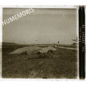 PV 066 14 18 alocaliser chevaux morts LAR