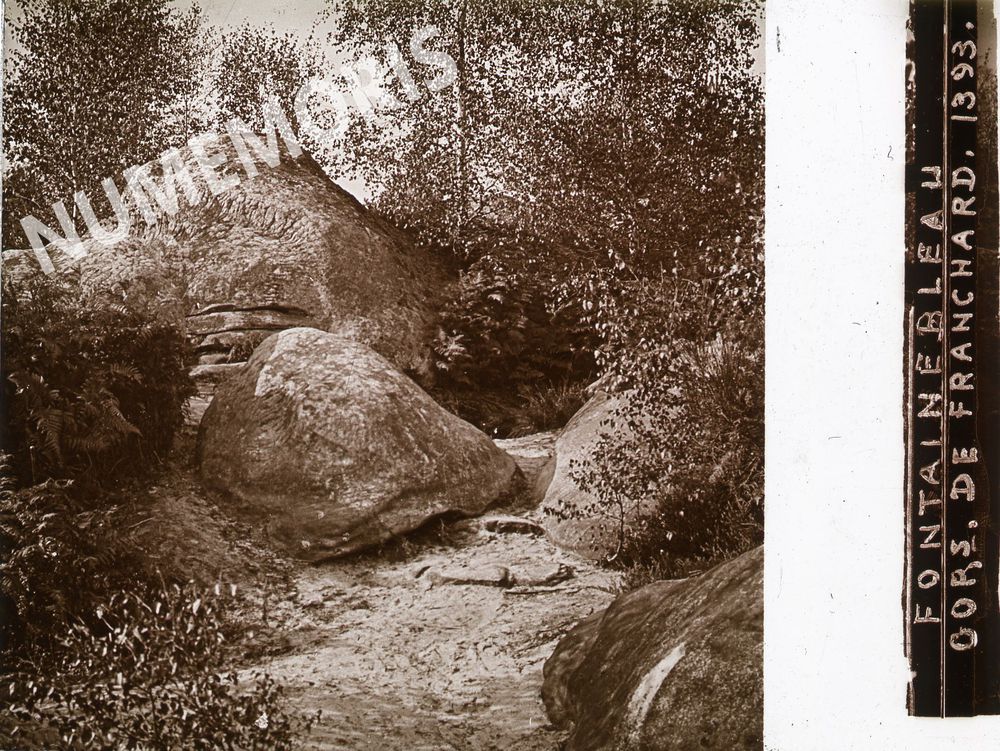 Saint Blaise du Buis