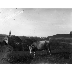 PV montferrat boeuf eglise 1900env VAM
