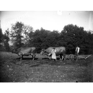 PV montferrat chateau attelage av1914 VAM