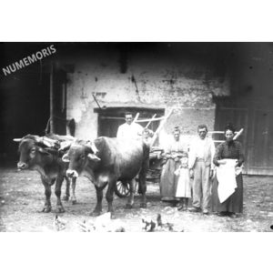 PV montferrat chateau attelage groupe av1914 VAM