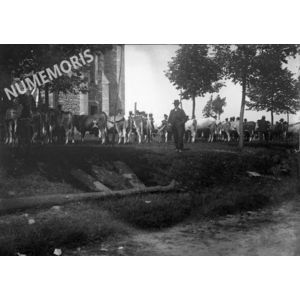 PV montferrat foireBestiaux av1914 VAM